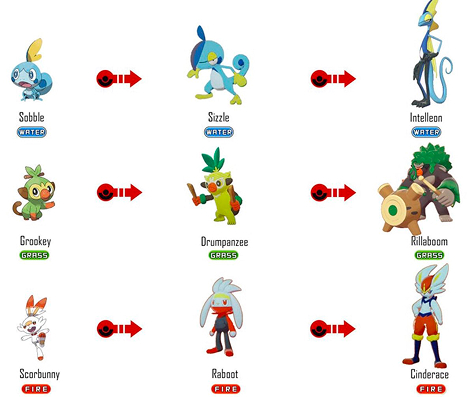 Evolution